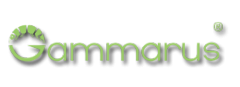 Logo Gammarus rybářské potřeby