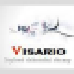 Logo VISARIO.CZ