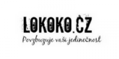 Logo Lokoko