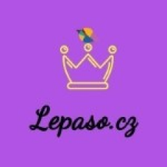 Logo Lepaso.cz