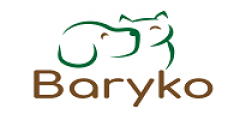 Logo Baryko